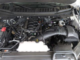 PMAS High Performance Cold Air Intake - 2015-2026 Ford F150 5.0L